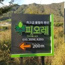 수피오레 이미지