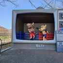 청도군-19 | ★청도 소싸움경기장 생생 관람 후기 및 주소 입장료 구내 식당 메뉴 등 안내★