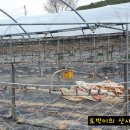 안말농장 이미지