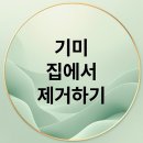 가체(궁중)미용연구소 | 기미, 집에서 깨끗하게 없애는 방법