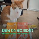 사공 | 입짧은 고양이도 잘먹는 아이누 사공스틱, 심플리야미 사료 솔직 후기