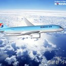 "Excellence in Flight KOREAN AIR" 대한항공 마케팅 이미지