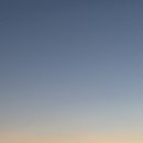 털복숭이친구들 이미지