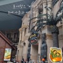 지프월드 | 롯데월드 파라오의분노 8살 아이와 매직패스 이용후기 탑승조건 안무서운 놀이기구
