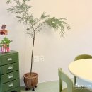 태안풀빌라반디(bandi) 이미지