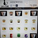 캣인큐브 이미지