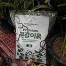 흙 - 보령시 | 흙