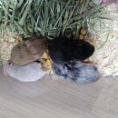 매산리 538 이미지