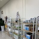 꽃담 멍발소 이미지