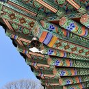 삼승슈퍼 | 고부야 그리스 로마 신화 이야기좀 더 들려줘 in 용문사