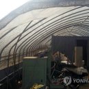 수당농장 이미지