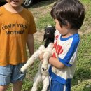 인제월명민박 이미지