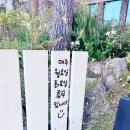 찻집도토리