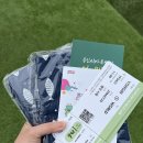 키다리 태권도 | 용인 시청 온가족다문화축제 후기