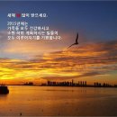 축복 Daum카페