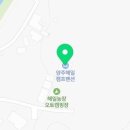 여름해일