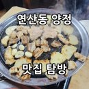 내돈내산 1차 연산동 진미양곱창 2차 양정 월매네 실비집 후기