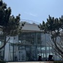 [제주] '훈데르트윈즈' 우도 카페 내돈내먹 주말 방문 후기
