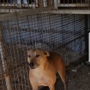 워리워리 이미지