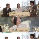 미라클숲 이미지