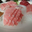 왕본참치 이미지