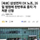 [속보] 삼성전자 DX 노조, 26일 법원에 찬반투표 중지 가처분 신청 이미지