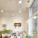 하이파크로 이미지