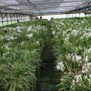 선비농장 이미지