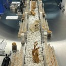 마포-현장-마포-1483 | 홍대에서 5만원으로 데이트 하기!연남 향수공방 그리디센트 연남점