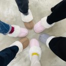 비에프엘
