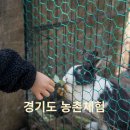 경기도 어린이 농촌체험 남양주 아이와 가볼만한곳 하늘숲 아이자리 선경농원