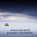 ◇장흥문화원, 향토 역사 발간 자료 온라인 공유 이미지