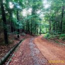 금남면사무소 이미지