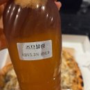버드나무식당 | 강릉여행 수제맥주 맛집 버드나무브루어리 웨이팅 포장 후기