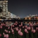 연지공원 농구장