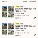 평촌낚시터 | 가을 패밀리 북캉스(롯데백화점 문화센터) 후기