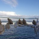 바다부동산중개 이미지