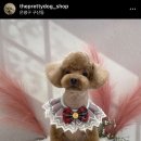 더이쁘개 이미지