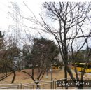 천성초등학교 이미지