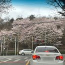 노반타 구월점 | 2021.04 ~ 05월 근황