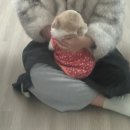 공원로 16길 | 육해공을 가리지 않는 일주일을 산 여자