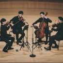 꼴로르 현악 4중주단 | 베토벤 현악 4중주 (Beethoven String Quartets)