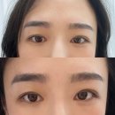 도봉구눈썹 자연눈썹 리뷰(강북,방학동,창동,수유,미아,노원)
