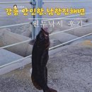 강릉 안인항 원투낚시 남항진 해변 초보 낚시포인트 출조 후기