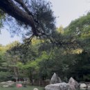 낙원방역 | 완주 검태오남매 명당자리(7월 12일) 다녀왔어요! (수심,자리꿀팁)