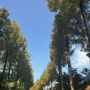 밸리CC 스타트 하우스 | 멤버십 명문 {서원밸리CC}밸리코스.서원코스&amp;시설 사용기: 그늘집·스타트하우스까지 AtoZ