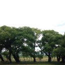 성주 별고을길 2코스 이미지