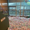 점핑몬스터 지축점 이미지