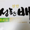 강남농원 이미지