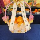 창원농장2 이미지